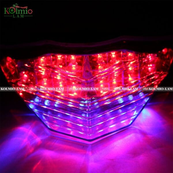 Rear Turn Signal Light Indicator Tail Light Fit for Kawasaki Ninja 250R 13-15 - 图片 6