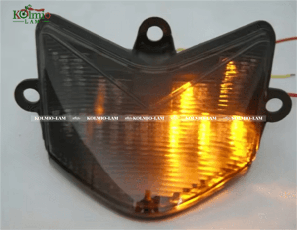 Rear Turn Signal light Tail Light Fit for Kawasaki Ninja ZX10R 2004-2005 - 图片 4