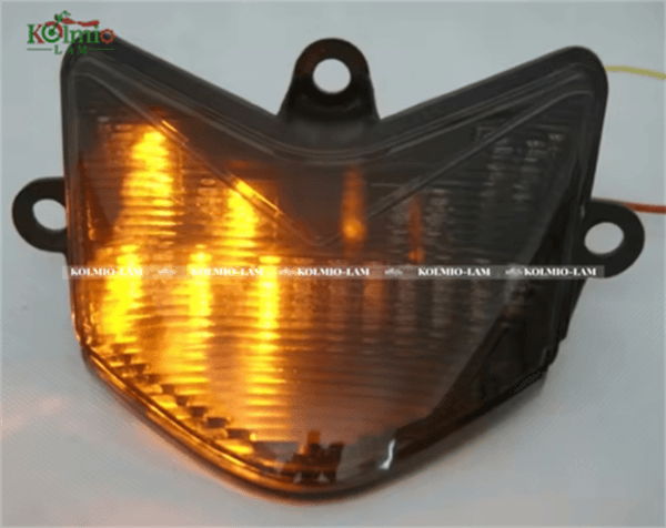 Rear Turn Signal light Tail Light Fit for Kawasaki Ninja ZX10R 2004-2005 - 图片 6
