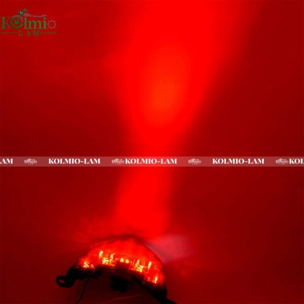 Fit For Ninja ZX6RR ZX10R ZX636 Z750S 2005-2006 Rear Tail light Turn Signal - 图片 3
