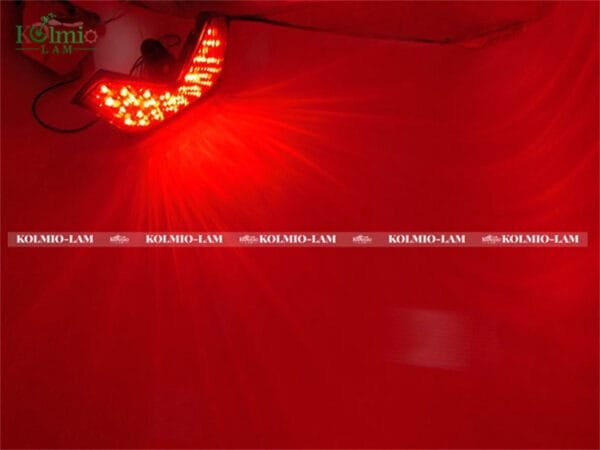 LED Tail Light Brake Turn Signals Fit For Kawasaki ZX14 ZX14R ZZR1400 2006-2009 - 图片 5