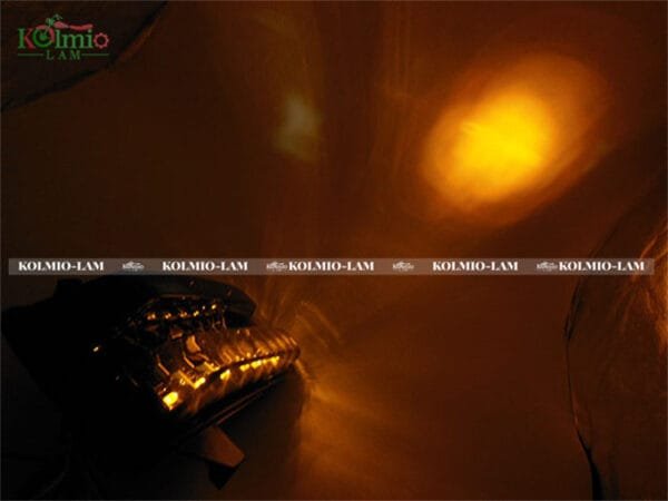 LED Turn Signal Indicator Tail Light Fit for Suzuki SV650/S/A SV1000/S 2003-2011 - 图片 4