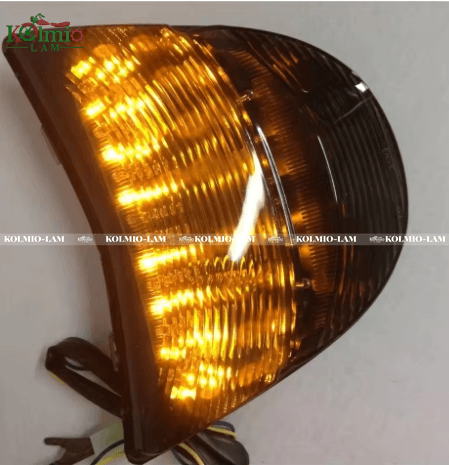 LED Rear Tail Light Integrated Turn Signal Stop Lamps Fit For Honda Cbr954 Cbr954rr 2002 2003 Cbr900rr Cbr900 Moto Taillight - 图片 5