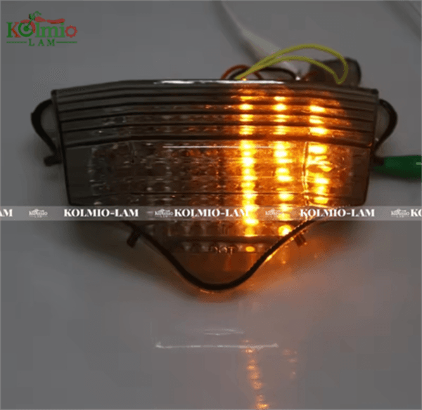 Fit for Yamaha FZ6 FZ6N 2004-2014 Motorcycle LED Tail Light Brake Turn Signal 07 - 图片 5