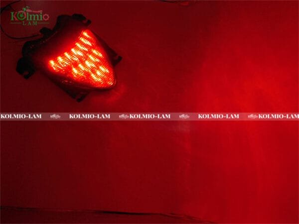 LED Tail Light Brake Turn Signals Fit for Suzuki Boulevard M109R 2006-2009 07 08 - 图片 6