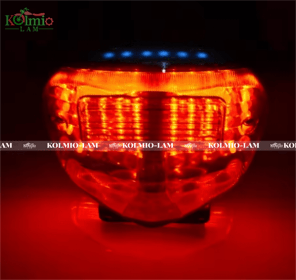 Motorcycle LED Tail Light Brake Turn Signal Red Yellow Fit For 2000 2001 2002 2003 Suzuki GSXR GSX-R 600 750 1000 - 图片 2