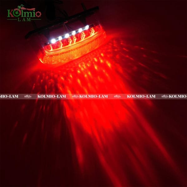 LED Rear Taillight Turn Signal Fit For Ducati M400 M600 620 695 750 800 900 1000 - 图片 2