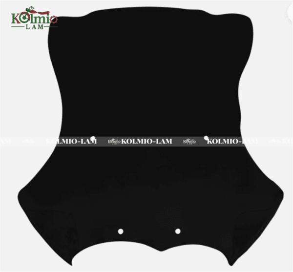 Windshield Fit For BMW R 1200 GS / R 1200 GS ADV 2005-2012 - 图片 3