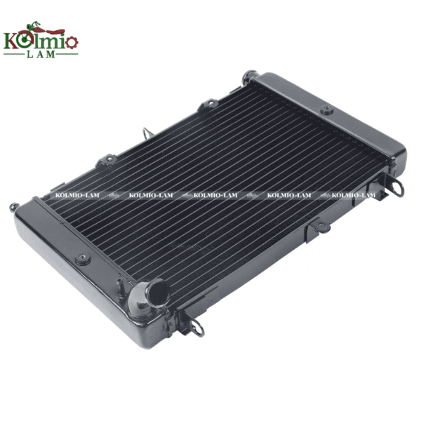 Radiator Cooler Cooling Fit For YAMAHA FZS1000 98-03 New - 图片 6