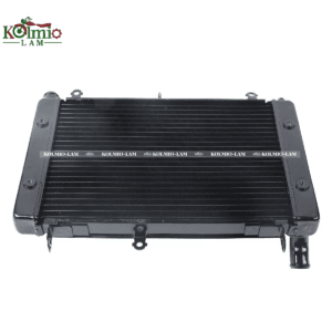 Radiator Cooler Cooling Fit For YAMAHA FZS1000 98-03 New