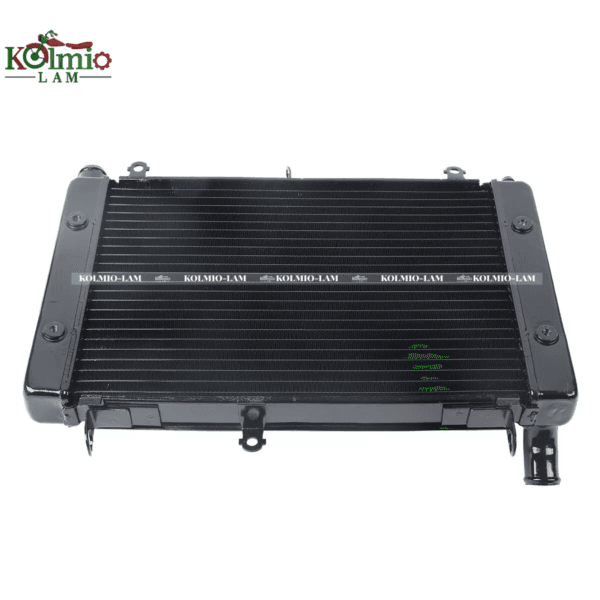 Radiator Cooler Cooling Fit For YAMAHA FZS1000 98-03 New
