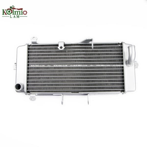 18 19 20 21 2018 2021 Suzuki Suitable Fit  for SUZUKI GSX250R 18-21 GSXR250 engine radiator - 图片 7