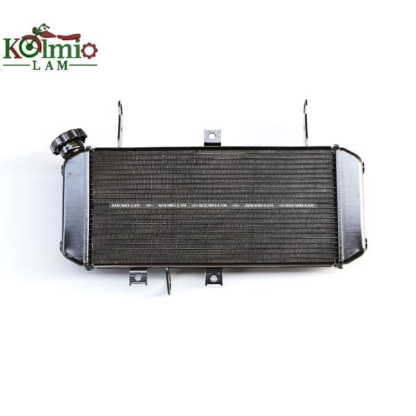 Radiator Motor Grille  Fit   For Suzuki SV650 2005 2006 2007  2008 2009 2010 2011