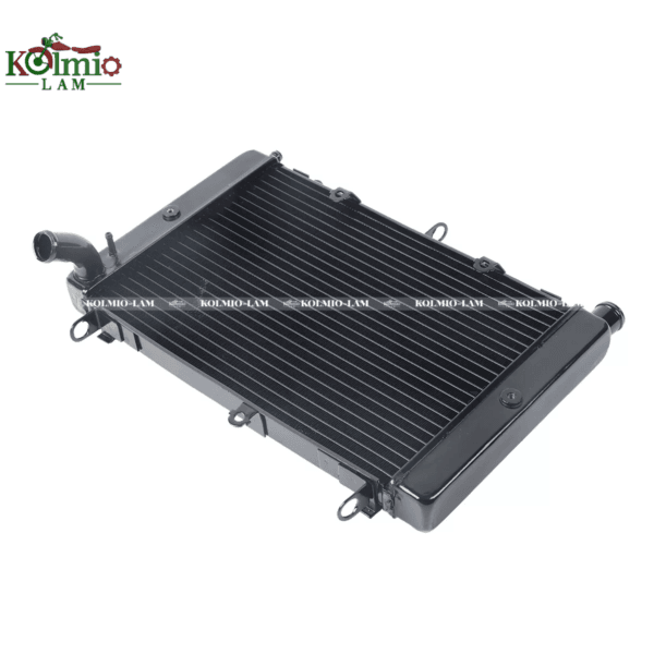 Radiator Cooler Cooling Fit For YAMAHA FZS1000 98-03 New - 图片 4