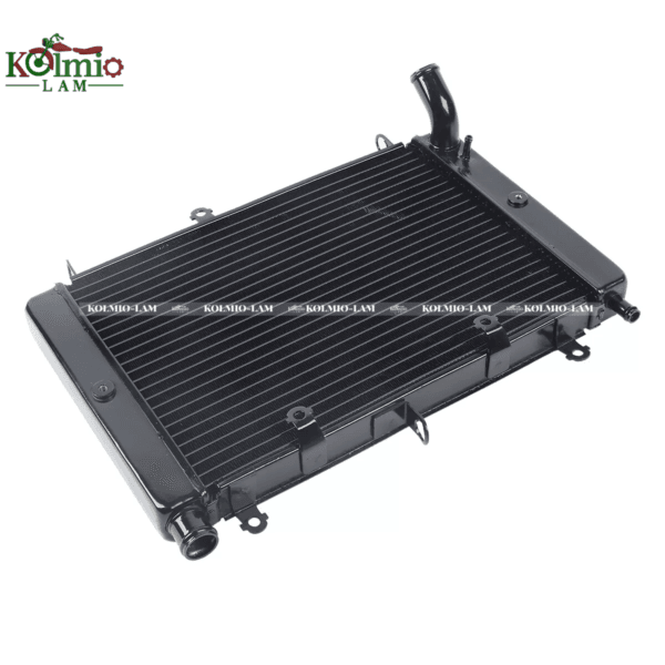 Radiator Cooler Cooling Fit For YAMAHA FZS1000 98-03 New - 图片 5