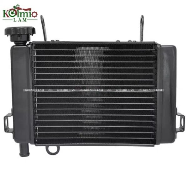 Fit  for HONDA Honda CBR125 03-09 Water Tank New Radiator - 图片 5