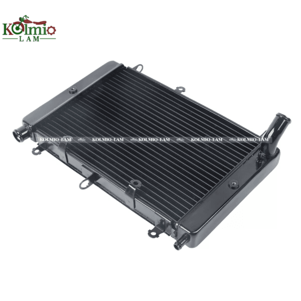Radiator Cooler Cooling Fit For YAMAHA FZS1000 98-03 New - 图片 2