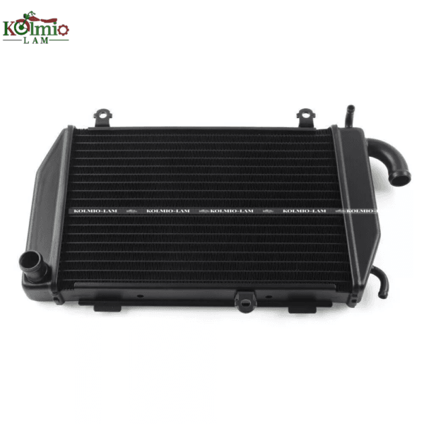 Fit For  HONDA Gold Wing GL1800 06-15 Left Water Tank Radiator Cooler - 图片 5