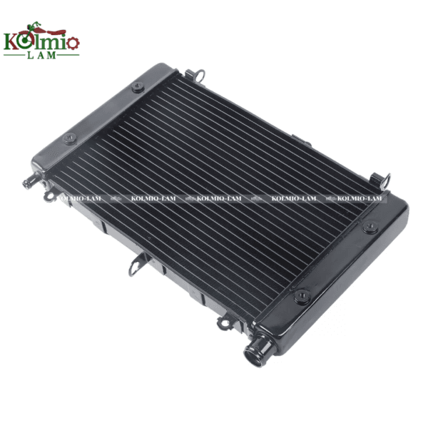 Radiator Cooler Cooling Fit For YAMAHA FZS1000 98-03 New - 图片 3
