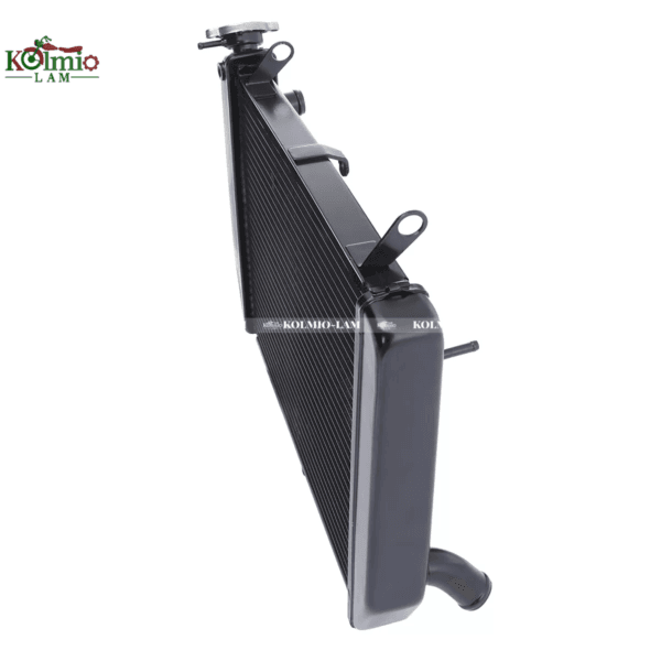 Black radiator engine cooling suitable Fit for YAMAHA Yamaha R1 00-01 year water tank - 图片 6