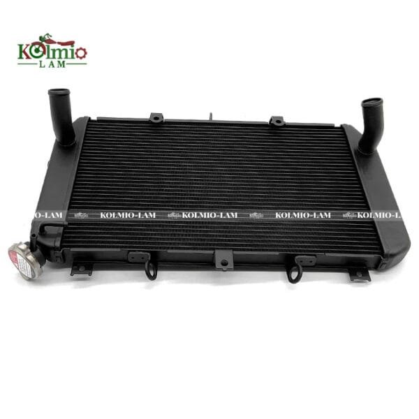 Motorcycle Replacement Parts Radiator  Fit for Kawasaki Z900RS 2021-2023 Accessories Cooler Cooling Water Tank - 图片 3