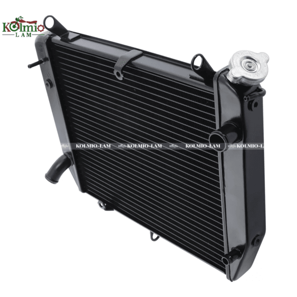 Black radiator engine cooling suitable Fit for YAMAHA Yamaha R1 00-01 year water tank - 图片 5