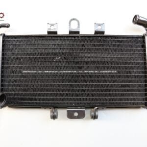 Fit  For  FZ6S 98-03 RadiatorBlack Racing Water Radiator Cooling YAMAHA