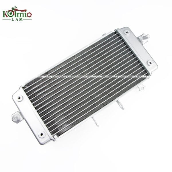 18 19 20 21 2018 2021 Suzuki Suitable Fit  for SUZUKI GSX250R 18-21 GSXR250 engine radiator - 图片 6