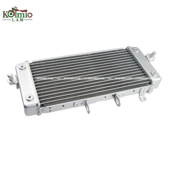 18 19 20 21 2018 2021 Suzuki Suitable Fit  for SUZUKI GSX250R 18-21 GSXR250 engine radiator - 图片 5