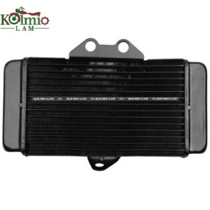 Fit For HONDA VTR250 97-07 Radiator Cooling Radiator