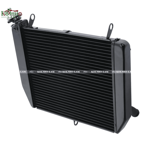 Black radiator engine cooling suitable Fit for YAMAHA Yamaha R1 00-01 year water tank - 图片 4
