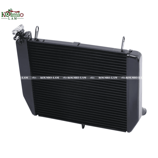Black radiator engine cooling suitable Fit for YAMAHA Yamaha R1 00-01 year water tank - 图片 3